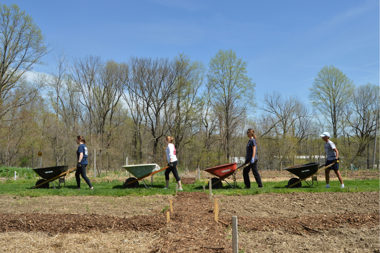 Illustrative stock photograph of volunteers walking outdoors with wheelbarrows; not Foundation volunteers or activities